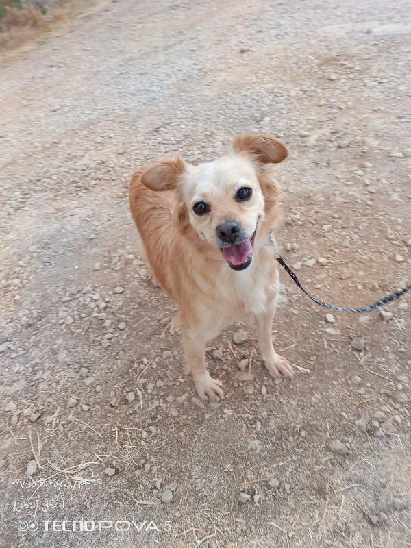 Najma, dolce meticcia Foto 6